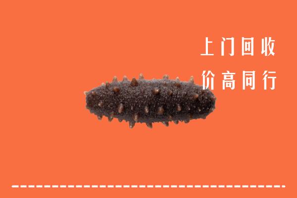 中卫高价回收海参