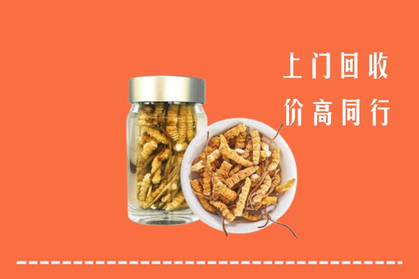 高价求购：中卫回收冬虫夏草