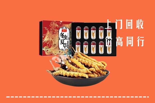 收购行情：中卫回收虫草